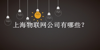 上海物聯(lián)網(wǎng)公司